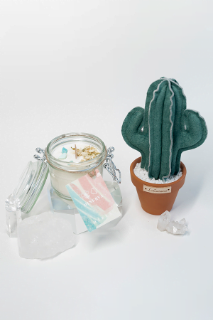 vela-aromatica-minerva-soja-ecologica-jazmin-cactus